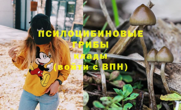 мдма Абдулино