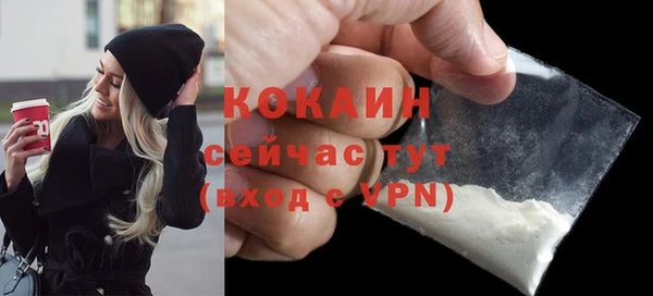 тгк Абаза