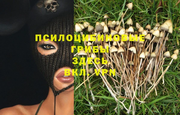 скорость Алзамай
