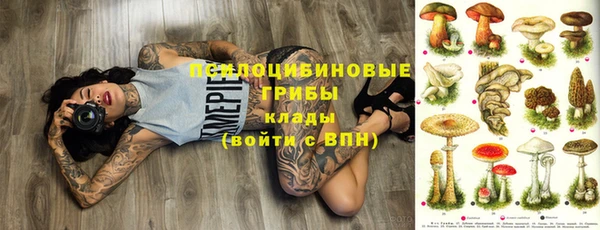 скорость Алзамай