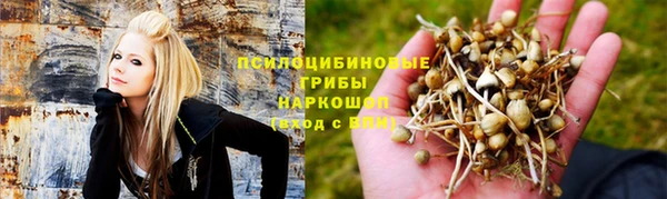 мдпв Абинск